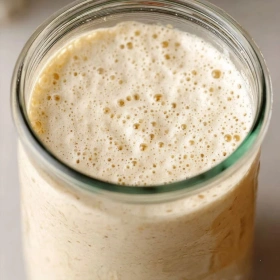 Cooking process for Homemade Sourdough Starter showing technique and proper timing